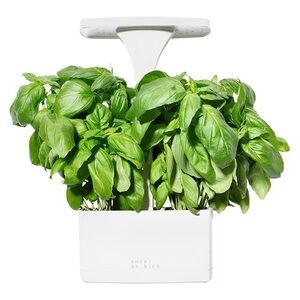 NEW Short Stories Compact LED Indoor Planter with USB